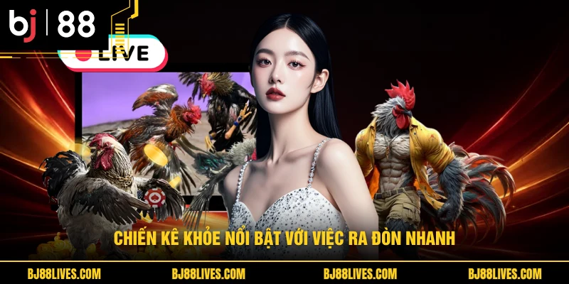 Chiến kê khỏe nổi bật với việc ra đòn nhanh