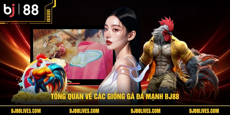 Tổng quan về các giống gà đá mạnh BJ88